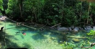Fasa pertama sektor utama daerah besut ialah sektor pertanian. Hutan Lipur Lata Belatan Terletak Di Daerah Besut Terengganu Ia Merupakan Pintu Masuk Utama Kepada Para Pendaki Ke Gunung Tebu Pelbagai Kemudahan Asas Juga Disediakan Seperti Gerai Tapak Perkhemahan Dan Tandas Yang