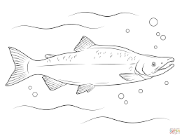 Pin By Sheri Jackson On Kids Stuff In 2020 Coloring Pages Salmon Drawing Cute Coloring Pages