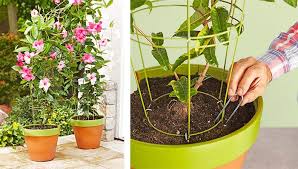 Made of 1 square aluminum tubing, our most popular trellis 8' h x 4' w or 4' high x 8' wide 24 lb. Diy Projects And Ideas Trellis Plants Flower Pot Trellis Flower Trellis