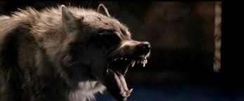 Don T Bite The Hand That Feeds You Gif Https Encrypted Tbn0 Gstatic Com Images Q Tbn 3aand9gcsiml9kttbb2vyf Jarvzcgw0seqaz8n0qluw Usqp Cau