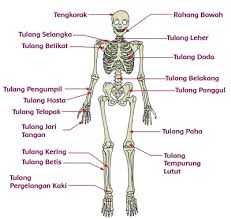 Sembilan bahaya kabut asap dan cara mengatasi. Pembelajaran 2 Tema 1 Subtema 2 Manusia Dan Lingkungan