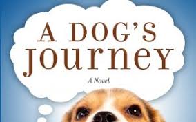Brandon serves as a master guide on that journey and condenses the essence of it in this seminal book. A Dog S Journey Download Movies 2021 Free New Movies