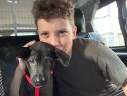 Sally's Daily HKDR Life: Weds 1st July: Lucky 44 for June