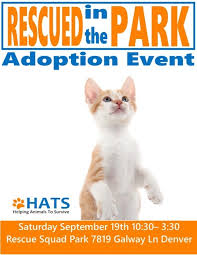 Cash, visa, discover or mastercard. Rescued In The Park Adoption Event Helping Animals To Survive