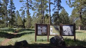 When it comes to camping in northern arizona, flagstaff is where to look. Flagstaff Az Hike Gooseberry Springs In Coconino National Forest