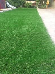 Home decore items artificial grass/ candle stand / lamps / jewelry box rawalpindi rabi centershop name : New Artificial Grass 20 Mm Available For Sale In Dera Ismail Khan