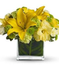 Bloomex offers same day flower delivery to albany and surrounding area, six days a week. Oh Happy Day Get Well Flowers Yellow Flower Arrangements Same Day Flower Delivery