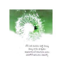 Pin By Vasu Chittoor On Telugu Vasu Chittoor Flowers Plants Chittoor