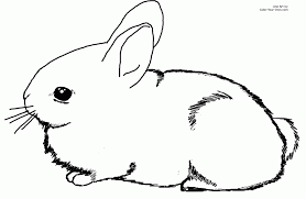 Up to 12,854 coloring pages for free download. Rabbit Coloring Pages Coloring Home