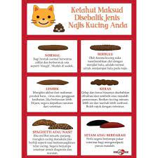 Tapi kalau najis tu berwarna hitam dan melekit, cepat pergi jumpa doctor. Ubat Cirit Birit Kucing Anjing Arnab Shopee Malaysia