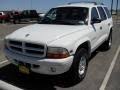 Image result for Bright White 1998 Durango
