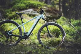 Cube is a german bicycle brand. Cube E Mountainbikes Markenrader Zubehor Gunstig Kaufen Lucky Bike