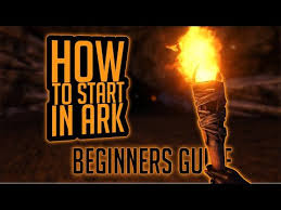 The game doesn't tell you much, so this guide is designed to introduce you to the basics. How To Start In Ark Where To Spawn How To Level Fast Etc Ark