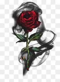 Black And White Rose Transparent Background Rose Black Smoke Smoke Flower Black Rose Vector Rose Clipart Rose Clipart Rose Art Backdrops Backgrounds