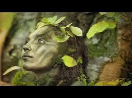 Relaxing Celtic Music Fantasy Music Flute Music Harp Music Beautiful Music Relaxing Music 91 Youtube Celtic Music Relaxing Music Flute Music