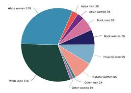 racial makeup of us pie chart saubhaya makeup