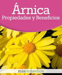 Arnica Propiedades Y Beneficios Plantasmedicinales Herbalism Health Healthy Nutrition