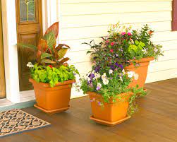 The flowers and plants around your doorway will seem even more vibrant when accented by a delightfully green front door. 59 Front Door Flower And Plant Ideas Home Stratosphere