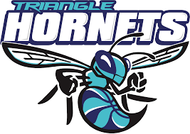 Nuevo logo de charlotte hornets 2014 nba. Hornet Logo Charlotte Hornets Full Size Png Download Seekpng