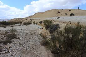 Image result for Daknopholis