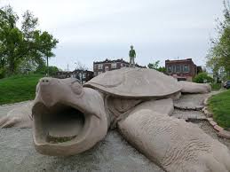 Turtle Park Playground St Louis Mo St Louis Missouri Forest Park St Louis Zoo