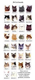 Depending upon the classifying source, there are between 39 and 49 breeds of domestic cat. Follow This Great Article About Cats To Help You To View Further For This Article Visit The Image Link Careforcats Cat Breeds Cat Facts Cat Behavior