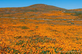 We did not find results for: C4lgeofs0wqiwm