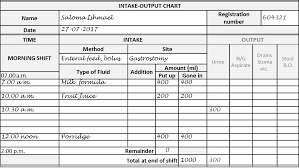 The Intake Output Chart Health Care Service Delivery