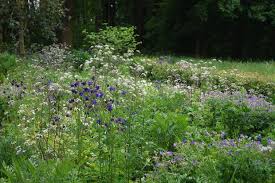 Botanische Achse Im Volkspark Pankow Blankenfelde Buro Christian Meyer