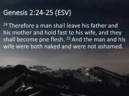 He himself bore our sins in his body on the tree, that we might die to sin and live to righteousness.by his wounds you have been healed. Genesis 2 24 25 Esv 24 Therefore A Man Shall Leave His Father And His Mother And Hold Fast To His Wife And They Shall Become One Flesh 25 And The Ppt Download