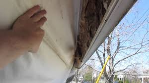 The previous owner of my house installed pop up sprinklers in the yard. Palimino Popup Trailer Roof Repair Part 1 Youtube
