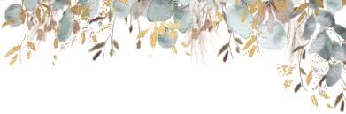 Jen Stiff and Greg Stiff's Wedding Website