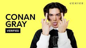 Editor of genius by a. Conan Gray The King Official Lyrics Meaning Verified Youtube