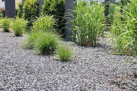 How To Stop Grass From Growing In Gravel 5 Easy Steps