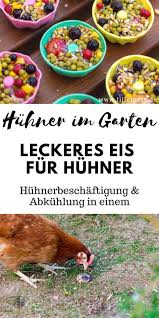 Huhner Halten Im Garten Sommersnacks Fur Die Huhner Selber Machen Eis Fur Huhner Herstellen Huhner Im Garten Huhner Und Huhner Futter