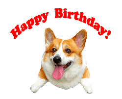 Everyone wants compliments from captain jack sparrow from small to large, and the student, and her grandmother. Happy Birthday Corgi Gif 1 Gif Download