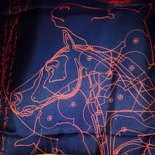 Le Pegase D Hermes Special Edition For The Opening Of Maison Hermes Shanghai 002631sc13 Caban Rouge Orange Accessories Hermes Scarf Luxury Accessories