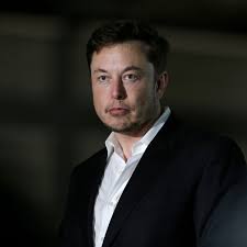 Analysis: Elon Musk and the forces of 'cognitive tribalism'