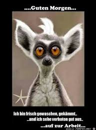 Hier findest du die besten bilder, fotos und gifs zum. Guten Morgen Funny Animal Faces Funny Animal Videos Cute Animals