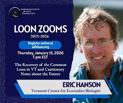 ADK Center for Loon Conservation (ACLC)