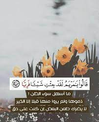 pin on from the quran spirit fqs في ظلال القران kuran ruhundan