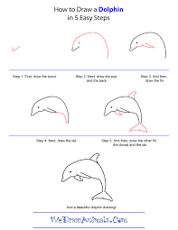 How To Draw A Dolphin Step By Step Png 600 776 Comment Dessiner Un Chien Comment Dessiner Mouton Dessin
