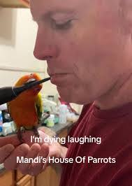 Amanda Waid's Instagram, Twitter & Facebook