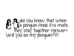 Cute quotes great quotes quotes to live by funny quotes inspirational quotes cute love sayings amazing quotes love is hard quotes brainy quotes. Penguins Love Penguin Quotes Quotes Love Quotes
