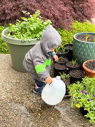 How do i maintain my vertical garden? Grow Herbs At Home For Cooking With Culinary Garden Tips Sip Bite Go