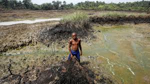 We are the key part of complex processes for the. Shell Loses Dutch Case Over Nigeria Oil Spills Financial Times