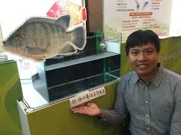 Ikan air tawar sejatinya adalah ikan yang hidup di perairan seperti danau, rawa atau sungai dimana kadar garam pada air tersebut sangatlah sedikit. Satu Satunya Di Dunia Pembudidayaan Ikan Nila Dengan Air Laut Murni Taiwan Today