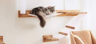 Check spelling or type a new query. 15 Best Cat Trees For Small Spaces Based On Your Cat S Needs Tiny Partments