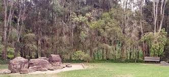 Hutan Riparian Wikipedia Bahasa Indonesia Ensiklopedia Bebas