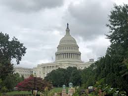 Impeachment is the legal process of bringing charges against a government official to determine impeachment is fairly rare in today's world. 6 Key Questions About The House Vote On The Impeachment Process Voice Of America English